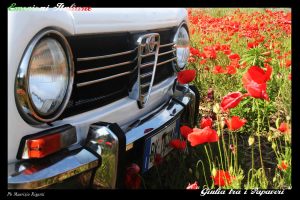 emozioni italiane cartoline cinemalfa associazione alfisti alfa romeo cinema italia