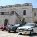 alfa in loco raduno cinemalfa alfisti italia cinema alfa romeo